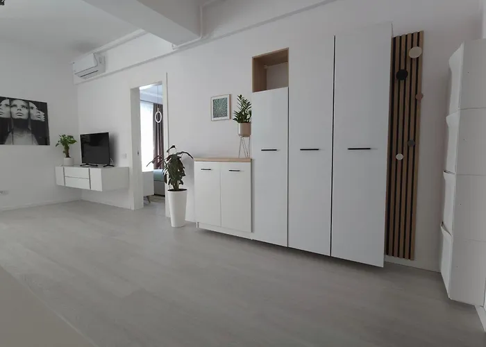 Aviatorii Oxford - 2 * Constanţa