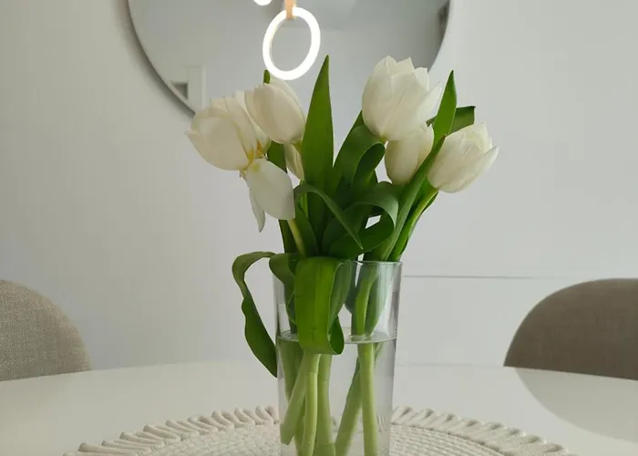 Apartament Aviatorii Oxford - 2 Constanţa